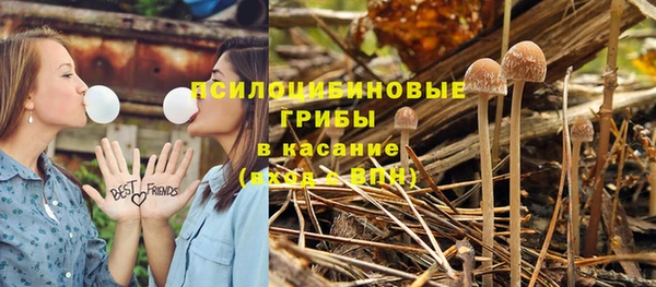 a pvp Бородино