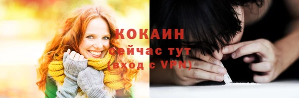молекула духа Бронницы