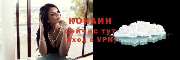 a pvp Бородино