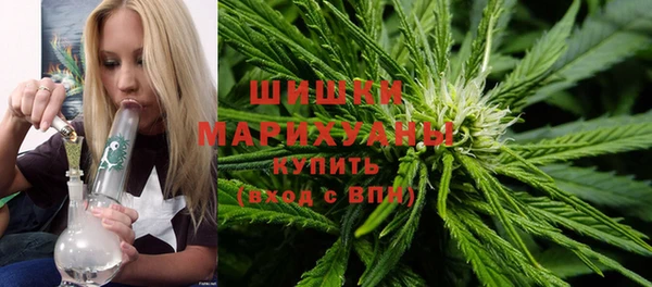 молекула духа Бронницы