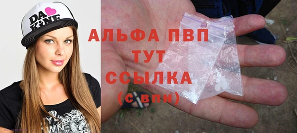 a pvp Бородино
