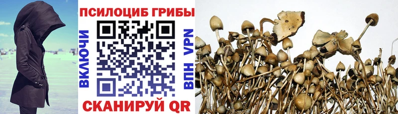 Псилоцибиновые грибы мицелий  Семёнов 